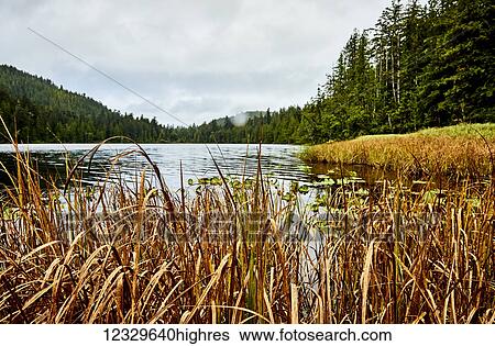 Stock Photograph - Scenic. Fotosearch