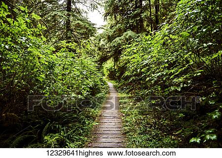 Stock Photograph - Scenic. Fotosearch