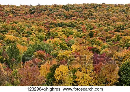 Scenic View Large Photo Image Stock Photograph - Scenic. Fotosearch