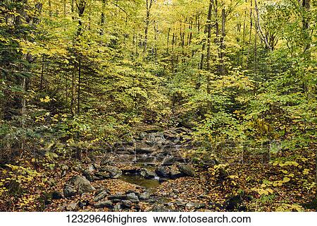 Scenic View Large Photo Image Stock Photograph - Scenic. Fotosearch