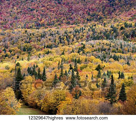 Stock Photograph - Scenic. Fotosearch
