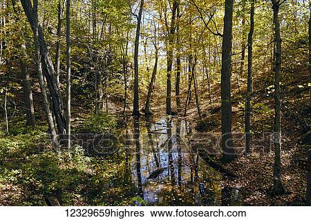 Scenic View Large Photo Image Stock Photograph - Scenic. Fotosearch