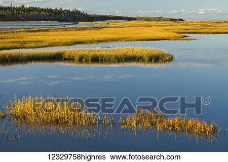 Scenic View Large Photo Image Stock Photograph - Scenic. Fotosearch