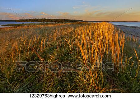 Scenic View Large Photo Image Stock Photograph - Scenic. Fotosearch