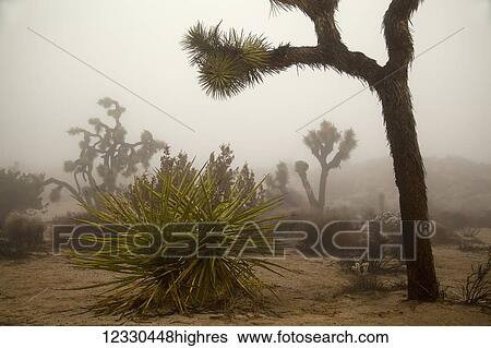 Scenic View Large Photo Image Stock Photograph - Scenic. Fotosearch