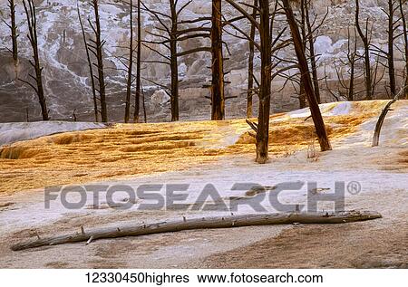 Stock Photograph - Scenic. Fotosearch