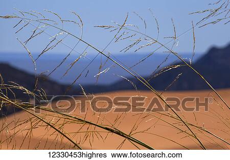 Stock Photograph - Scenic. Fotosearch