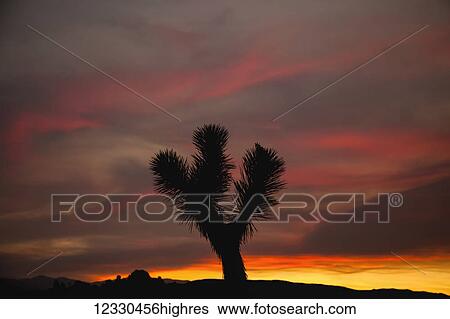 Scenic View Large Photo Image Stock Photograph - Scenic. Fotosearch
