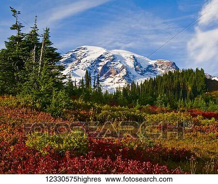 Stock Photograph - Scenic. Fotosearch