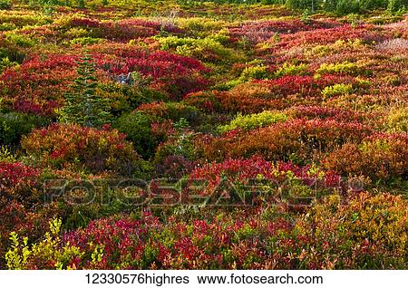 Stock Photograph - Scenic. Fotosearch