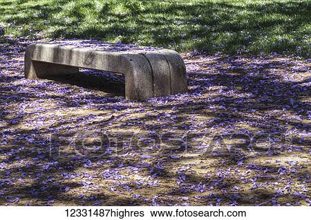 Scenic View Large Photo Image Stock Photograph - Scenic. Fotosearch