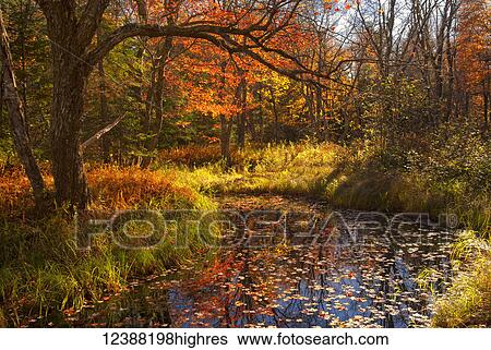 Stock Photograph - Scenic. Fotosearch