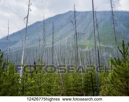Stock Photograph - Scenic. Fotosearch