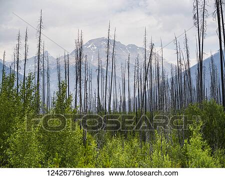 Stock Photograph - Scenic. Fotosearch