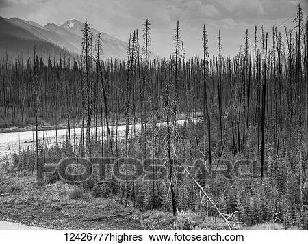 Stock Photograph - Scenic. Fotosearch