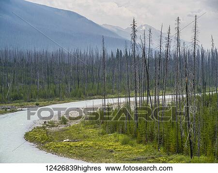 Scenic View Large Photo Image Stock Photograph - Scenic. Fotosearch