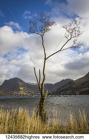 Scenic View Large Photo Image Stock Photograph - Scenic. Fotosearch