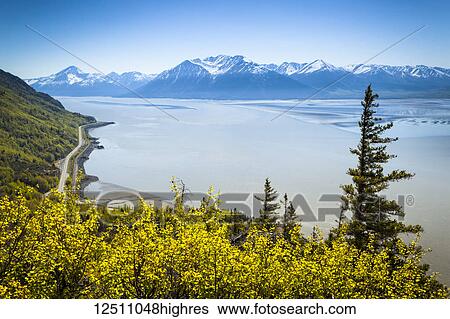 Stock Photograph - Scenic view of Turnagain Arm and Kenai Mountains under blue sky, lush green bush in the foreground; Alaska, United States of America. Fotosearch