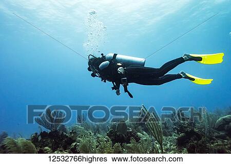 Scuba diver at Joe's Wall Dive Site, Belize Barrier Reef; Belize View Large Photo Image Stock Photograph - Scuba diver at Joe's Wall Dive Site, Belize Barrier Reef; Belize. Fotosearch