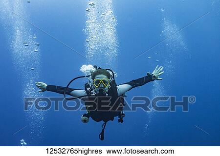 Scuba diver at the Three Amigos Dive Site, Belize Barrier Reef; Belize View Large Photo Image Stock Photograph - Scuba diver at the Three Amigos Dive Site, Belize Barrier Reef; Belize. Fotosearch
