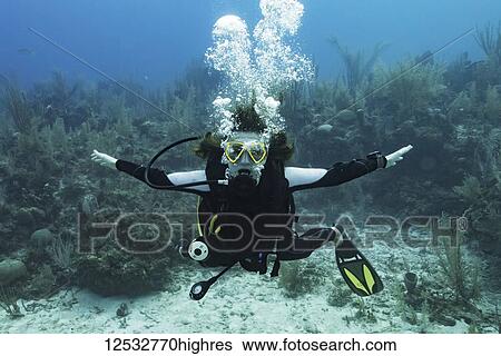 Stock Photograph - Scuba diver at Three Amigos Dive Site, Belize Barrier Reef; Belize. Fotosearch
