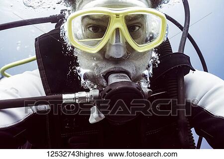 Scuba diver underwater looking at the camera; Belize View Large Photo Image Stock Photograph - Scuba diver underwater looking at the camera; Belize. Fotosearch