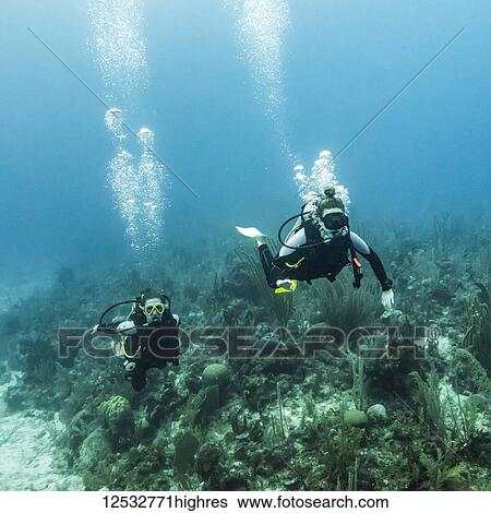 Scuba divers at Joe's Wall Dive Site, Belize Barrier Reef; Belize View Large Photo Image Stock Photograph - Scuba divers at Joe's Wall Dive Site, Belize Barrier Reef; Belize. Fotosearch