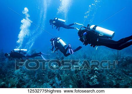 Stock Photograph - Scuba divers at Majestic Point Dive Site, Belize Barrier Reef; Belize. Fotosearch