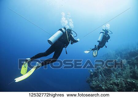 Scuba divers at Secret Spot Dive Site, Belize Barrier Reef; Belize View Large Photo Image Stock Photograph - Scuba divers at Secret Spot Dive Site, Belize Barrier Reef; Belize. Fotosearch
