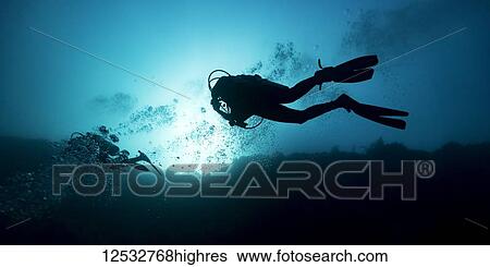 Stock Photograph - Scuba divers in the Great Blue Hole dive site on the Belize Barrier Reef. This site was made famous by Jacques Cousteau, who declared it one of the top five scuba diving sites in the world; Belize. Fotosearch