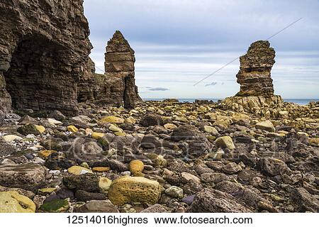 Sea stacks on the North East Coast of England; Whitburn, Tyne and Wear, England View Large Photo Image Stock Photograph - Sea stacks on the North East Coast of England; Whitburn, Tyne and Wear, England. Fotosearch