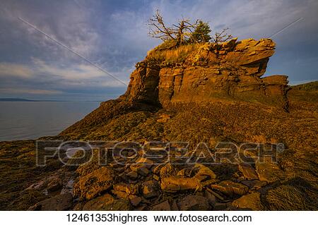 Stock Photograph - Seaweed covered rocks and sea stack in evening sun at low tide at Fitzgibbon Brook, Ravens Head Wilderness, Chignecto Bay; Nova Scotia, Canada. Fotosearch