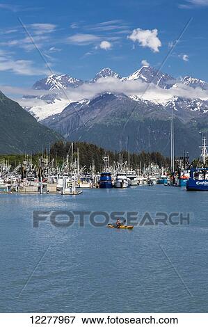 Stock Photo - Seine fishing boats in the Valdez boat harbor with a man in a kayak in the foreground, Southcentral Alaska, Summer.. Fotosearch