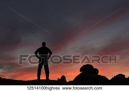 Silhouette of a man watching the sunset in Joshua Tree National Park; California, United States of America View Large Photo Image Stock Photograph - Silhouette of a man watching the sunset in Joshua Tree National Park; California, United States of America. Fotosearch