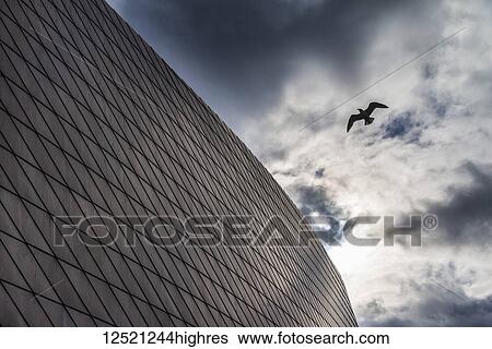 Stock Photograph - Silhouette of a seagull in the sky beside the geometric facade of the Blue Planet Aquarium building; Copenhagen, Denmark. Fotosearch