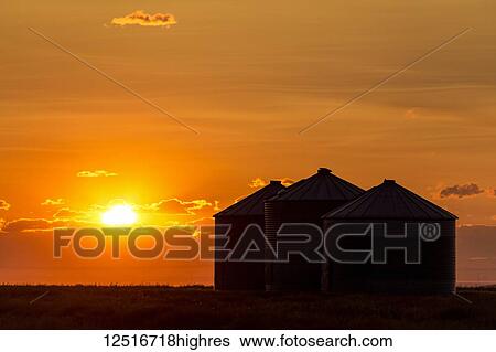 Stock Photograph - Silhouette of large metal grain bins at sunrise with orange sun rising over clouds; Alberta, Canada. Fotosearch