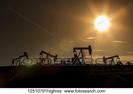 Stock Photograph - Silhouette of numerous pumpjacks in a field with a glowing sun at sunset on the Alberta Prairies, West of Airdrie; Alberta, Canada. Fotosearch
