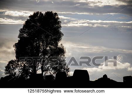Stock Photograph - Silhouette of tree and megalithic stone jars at sunset at Site 1, Plain of Jars; Xiangkhouang, Laos. Fotosearch