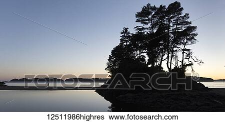 Stock Photograph - Silhouette of trees and coastline at sunset with a person walking on Tonquin Beach, Vancouver Island; Tofino, British Columbia, Canada. Fotosearch