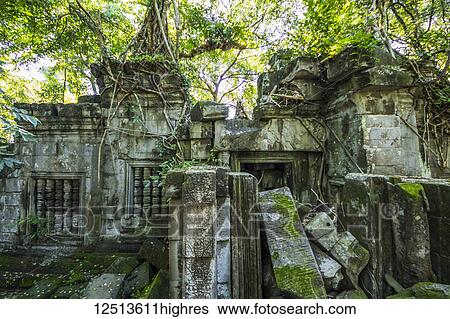 Stock Photograph - Silk cotton tree growing over the ruins of the Khmer temple of Beng Meala; Siem Reap, Cambodia. Fotosearch