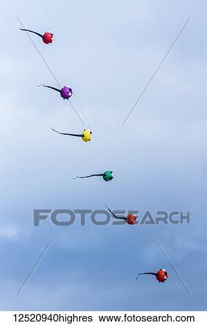 Stock Photograph - Six colourful spherical kites diagonally aligned flying against a blue sky; Northumberland, England. Fotosearch