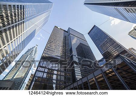 Skyscrapers in downtown Toronto; Toronto, Ontario, Canada View Large Photo Image Stock Photograph - Skyscrapers in downtown Toronto; Toronto, Ontario, Canada. Fotosearch