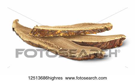 Stock Photograph - Slices of reishi mushroom on a white background. Fotosearch
