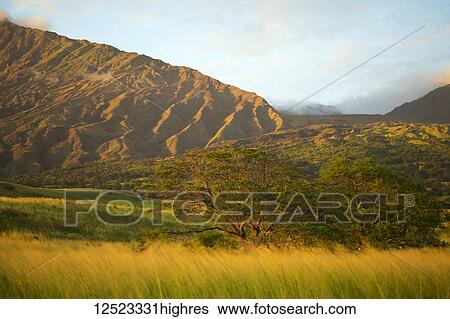 Stock Photograph - Slopes of Haleakala as viewed from Kaupo; Kipahulu, Maui, Hawaii, United States of America. Fotosearch