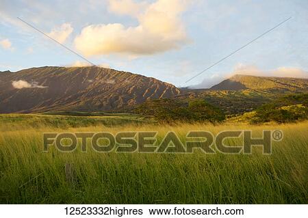 Stock Photograph - Slopes of Haleakala as viewed from Kaupo; Kipahulu, Maui, Hawaii, United States of America. Fotosearch
