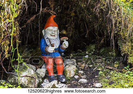 Stock Photograph - Small colourful bearded gnome in cave holding toadstool mushroom; Grainau, Bavaria, Germany. Fotosearch
