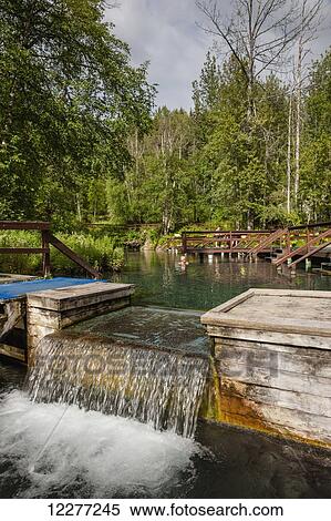 Small waterfall at Liard River Hot Springs, Liard River Hot Springs Provincial Park, British Columbia, Canada, Summer View Large Photo Image Stock Photography - Small waterfall at Liard River Hot Springs, Liard River Hot Springs Provincial Park, British Columbia, Canada, Summer . Fotosearch