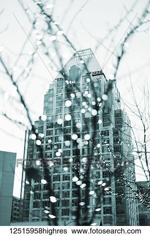 Stock Photograph - Small white lights on a tree in the foreground with a residential high-rise in the background; Vancouver, British Columbia, Canada. Fotosearch