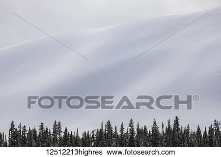 Snow covered slope and forest below, Jasper National Park; Alberta, Canada View Large Photo Image Stock Photograph - Snow covered slope and forest below, Jasper National Park; Alberta, Canada. Fotosearch