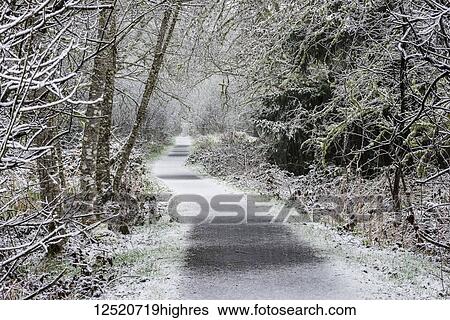 Stock Photograph - Snow falls on Netul River Trail; Astoria, Oregon, United States of America. Fotosearch